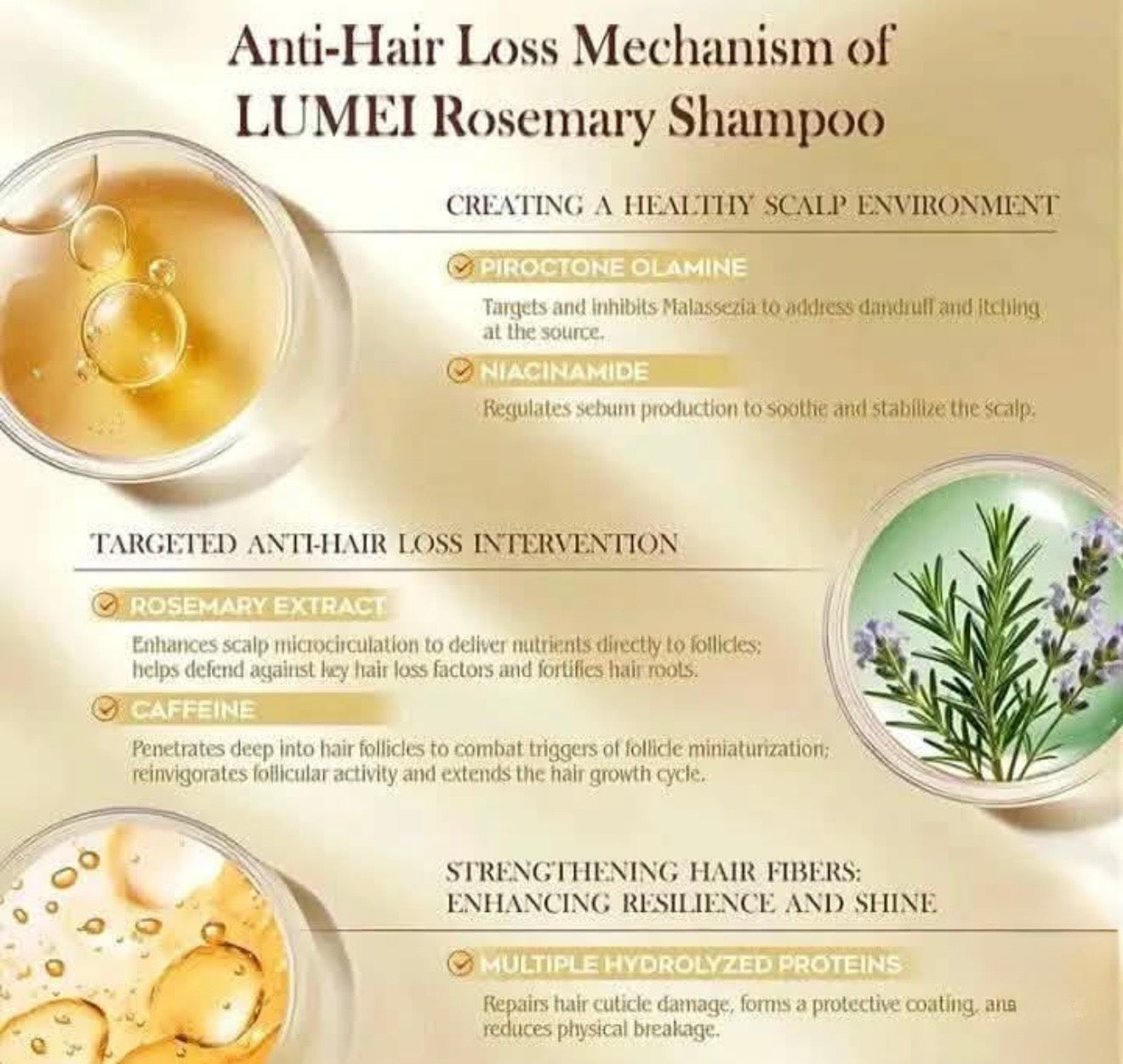 Lumei Rosemary Shampoo and Conditioner