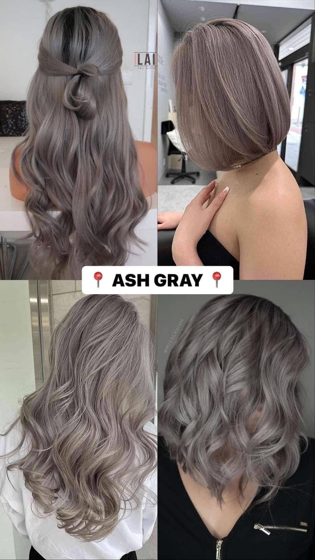 Bremod Hair Color Ash Gray 3pcs (Colourant, Oxidizer, Serum)